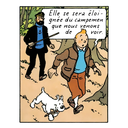 accueil-tintin-veste-aviateur-42261.jpg-2.webp