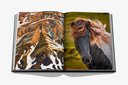 ICELAND_EPIC_SPREAD_GREY_2.jpg.webp